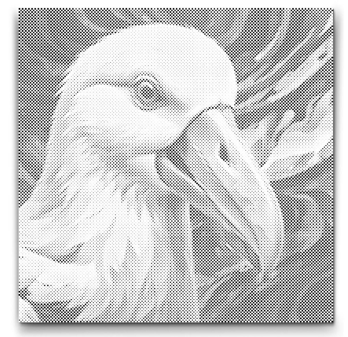 Dot Painting Albatros – Punktmalerei Vogelmotiv mit majestätischem Albatros