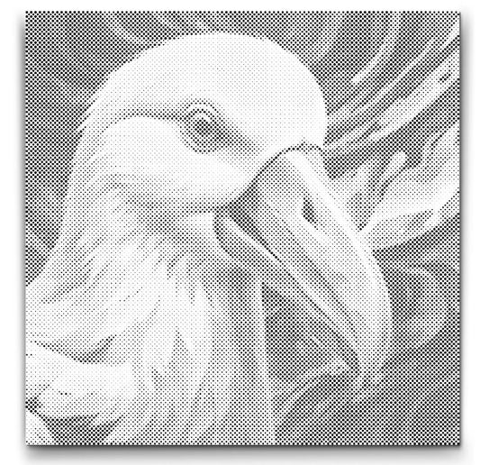 Dot Painting Albatros – Punktmalerei Vogelmotiv mit majestätischem Albatros