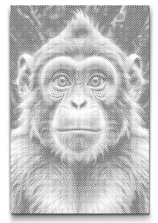 Affe Dot Painting in Punkttechnik – modernes Wandbild in Schwarz Weiß mit gleichmäßigen Punkten
