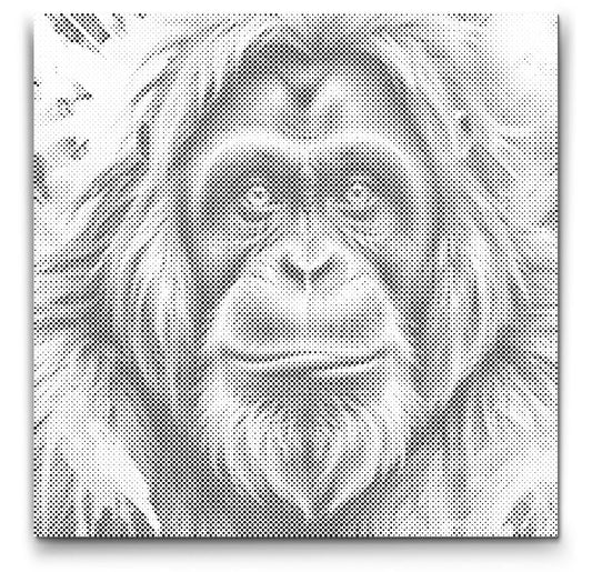 Dot Painting Orang-Utan  | Dschungel-Tiermotiv als kreative Punktmalerei