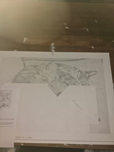 Avis client : Le tableau du chat en peinture par points devient très beau et la cliente est satisfaite.