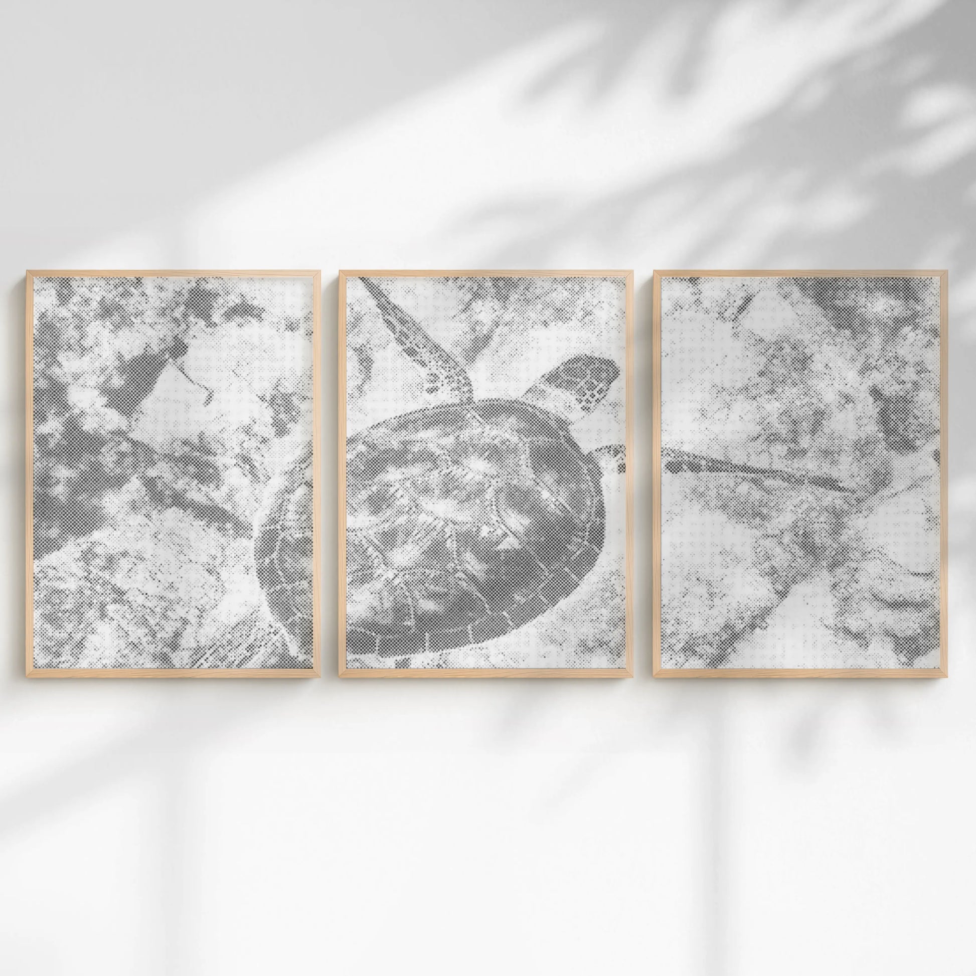 Three framed artworks of a turtle design on a white wall with soft shadows.