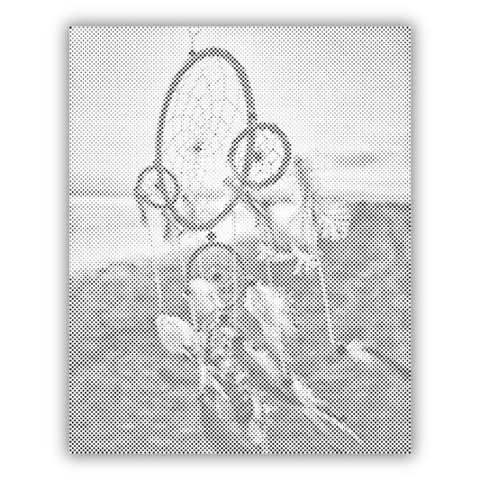 Traumfänger im Wind Dot Painting – Dein Kunstwerk, Punkt für Punkt