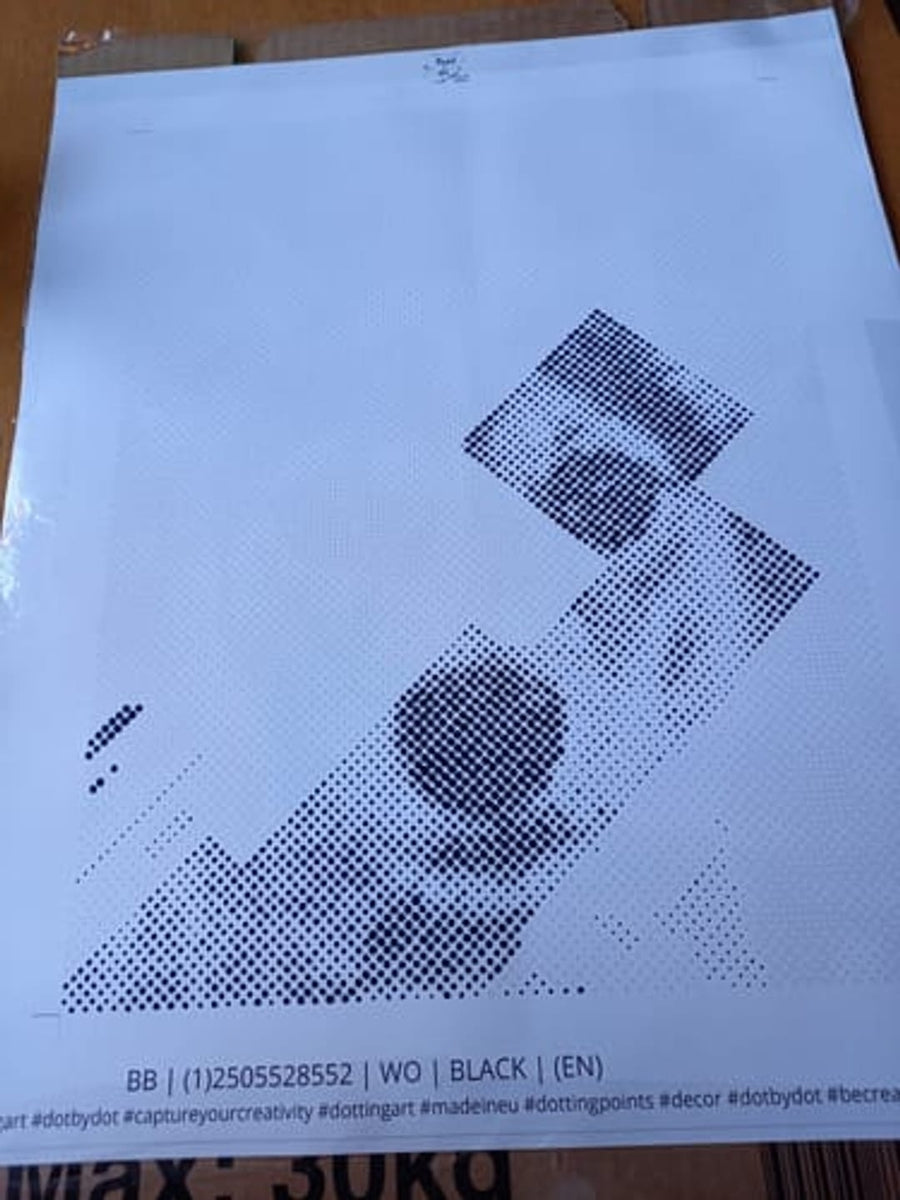 Avis client : Plaisir et excitation avec le projet de peinture par points dès le premier point.