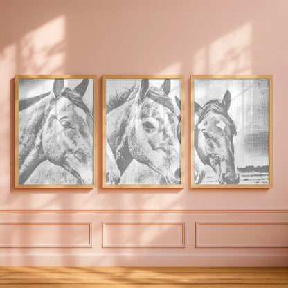 Pferdefreunde | Peinture par Points Artisanale Kit Complet